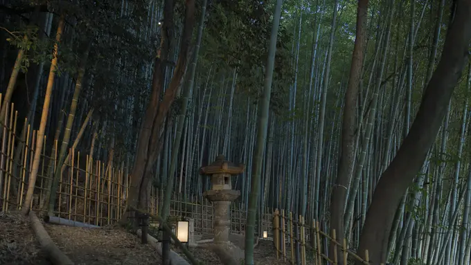 Menikmati Perpaduan Tradisi dan Kemewahan di Kyoto