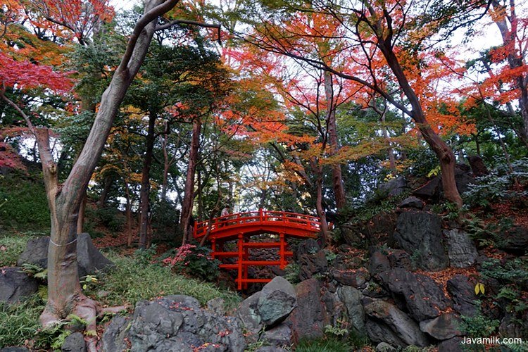 Tokyo #4 – Korakuen Garden, Omotesando, Shinjuku